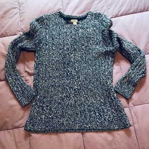 LL Bean Cotton Ragg Sweater